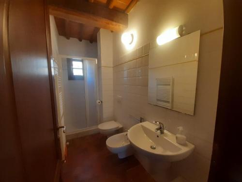 La salle de bains est pourvue d'un lavabo et de toilettes. dans l'établissement Andromeda apartment, à Montespertoli