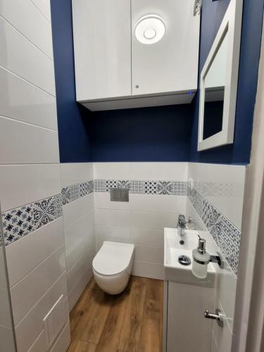 y baño con aseo y lavamanos. en Apartament Skandia Blue, en Toruń