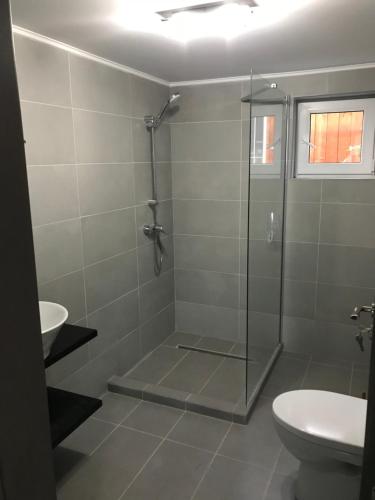 a bathroom with a shower and a toilet and a sink at Agropa Rooms & Garden Events in Bistriţa