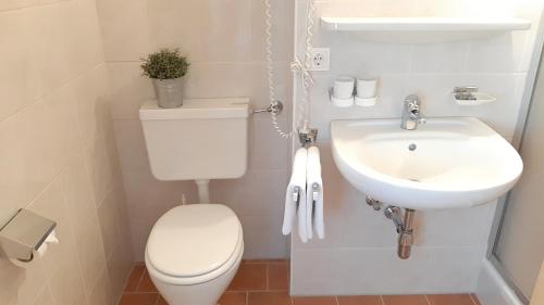a small bathroom with a toilet and a sink at Hotel Garni Bergland in Neustift im Stubaital