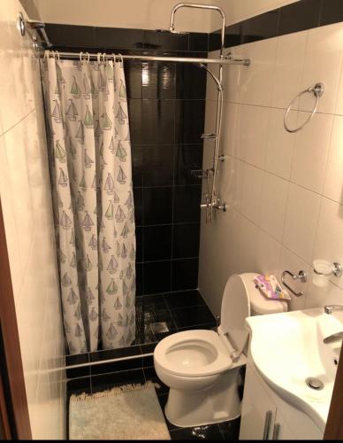a bathroom with a toilet and a shower and a sink at Ξενώνας Παρατηρητήριο Υπερώον in Ágios Athanásios