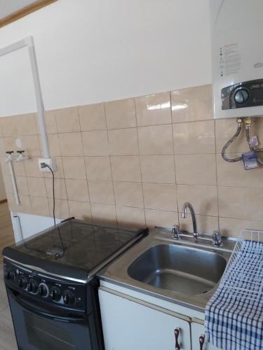 uma cozinha com um lavatório e um fogão em Antawara em Chile Chico