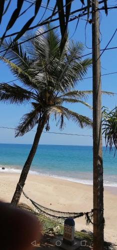 a view of a beach with a palm tree and the ocean at Chandi Gaya Beach Guesthouse in Tangalle