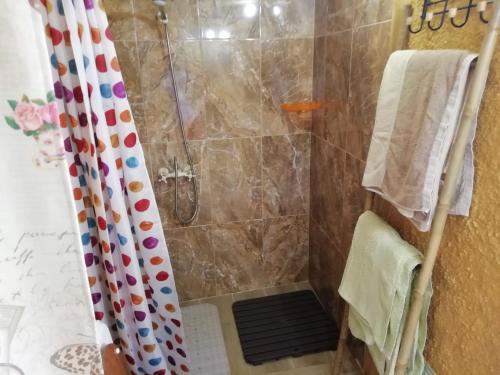 a bathroom with a shower with a shower curtain at Ocean View Cottage in Arco da Calheta