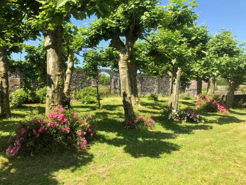 a row of trees with flowers in a park at Château Porthos Tranquillité des Pyrénées in Lanne en Barétous