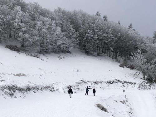 three people cross country skiing in the snow at Château Porthos Tranquillité des Pyrénées in Lanne en Barétous