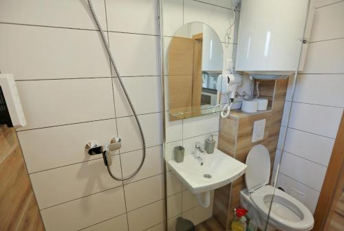 a bathroom with a toilet and a sink at Apartman Ice age Jahorina in Jahorina