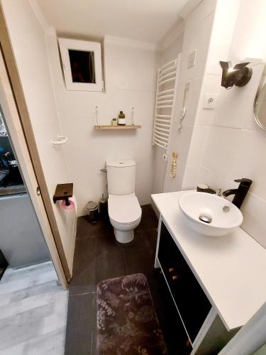 La salle de bains est pourvue de toilettes blanches et d'un lavabo. dans l'établissement Quiet and cosy studio near Cattenom, Luxembourg and Metz, à Haute-Yutz