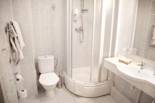 a bathroom with a shower and a toilet and a sink at Nykščio Namai & SPA in Anykščiai