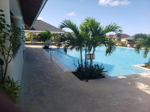 Richmond的住宿－Breathtaking Villa At The Crest，一座棕榈树游泳池,位于酒店大楼旁