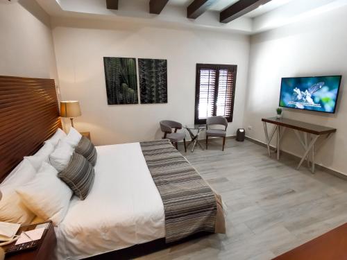 a bedroom with a bed and a desk and a tv at Hotel Plaza Cuatro Ciénegas in Cuatrociénegas de Carranza