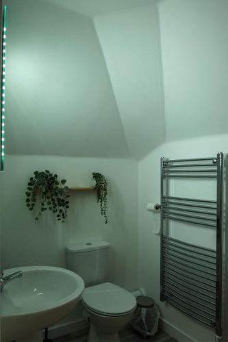 a white bathroom with a toilet and a sink at The Walk-up in Portree