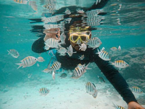 a person in a mask underwater with fish at Chalé Palhano Beach in São Miguel dos Milagres