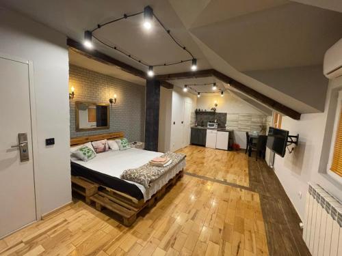 Großes Zimmer mit einem Bett und einer Küche. in der Unterkunft Airport Apartments in Belgrad