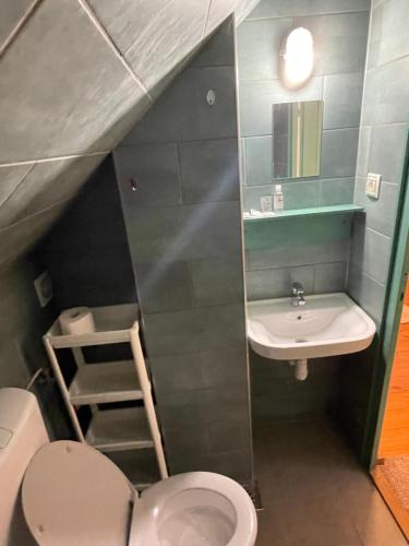 un piccolo bagno con servizi igienici e lavandino di Pelini - 1 a Szentendre