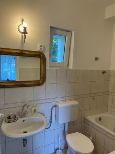 a bathroom with a sink and a toilet and a mirror at Pelini - 2 in Szentendre