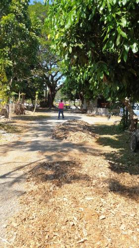 a person walking down a dirt road under a tree at จำค่า ชาเลท์ บ้านพักสวนเกษตร (Jumka Chalet - Home and Farm Stay) in Ban Cham Kha