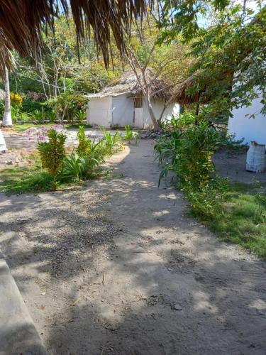 Jardin de l'établissement ECOHOTEL LAS FLORES Econativo