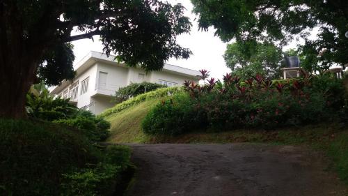 Mount View Lodge – Photos 3