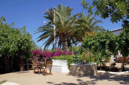 Κήπος έξω από το Agroturismo Sa Vinya d'en Palerm