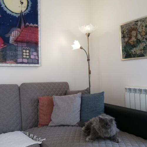 a dog sitting on a couch in a living room at Veronika Home Tbilisi in Tbilisi City