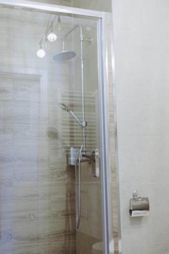 a shower with a glass door in a bathroom at Wilczarz in Duszniki Zdrój