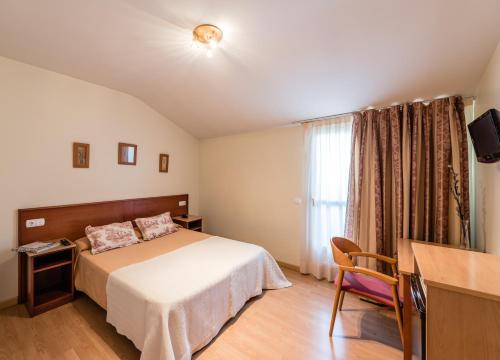 a bedroom with a bed and a desk and a television at Hotel Ruta del Duero in La Cistérniga