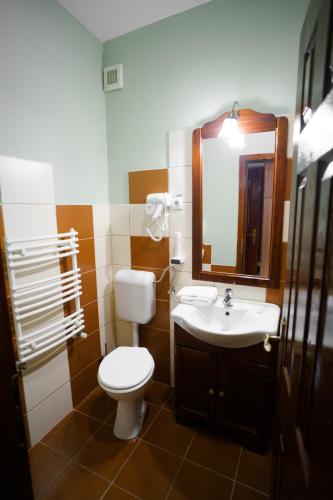 a bathroom with a toilet and a sink and a mirror at Pensiunea Koronka in Corunca