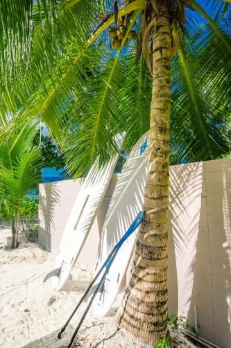 a palm tree and surfboards on the beach at Pineapple Beach Villas in Baie Lazare Mahé