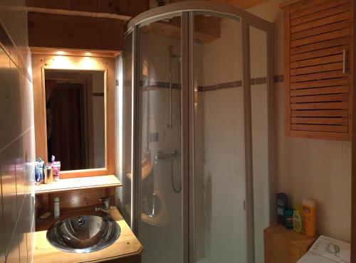 uma casa de banho com um lavatório e um chuveiro com um espelho. em Megève - Appartement 2 chambres - Proche Centre et Pistes - Wifi Netflix - Parking em Megève