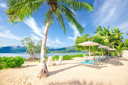 a beach with chairs and an umbrella and a palm tree at Pineapple Beach Villas in Baie Lazare Mahé