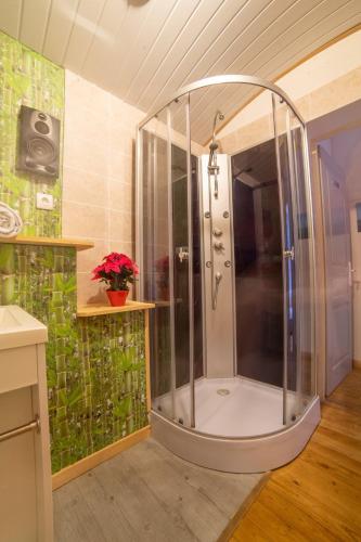 une douche avec une cabine en verre dans une salle de bain dans l'établissement Étape Gimontoise 32, à Gimont