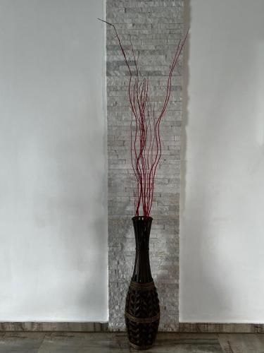a black vase with red branches in it at Villa Annjo in Pointe aux Piments