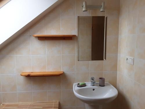 a bathroom with a sink and a mirror at Račínská hospůdka in Velká Losenice