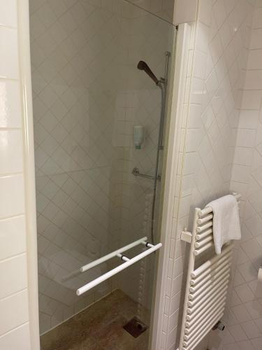 Bilik mandi di Hôtel des Alpes