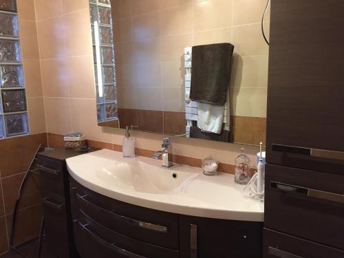 bagno con lavandino e specchio di LES HIPPOCAMPES a La Teste-de-Buch