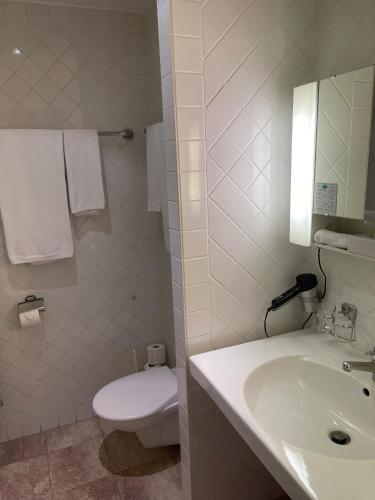 Bilik mandi di Hôtel des Alpes