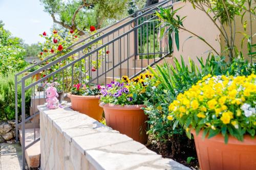 Κήπος έξω από το Apartment Lili
