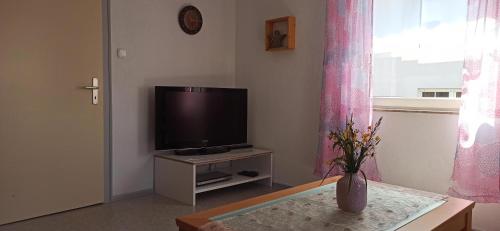 Μια τηλεόραση ή/και κέντρο ψυχαγωγίας στο Ferienhaus Pauline