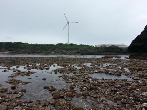 a beach with rocks and a windmill in the background at Minshuku Myojoso in Yoron