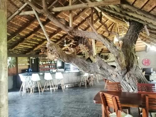 ein Baum in der Mitte eines Zimmers mit Tischen und Stühlen in der Unterkunft Kameelboom Lodge in Vryburg