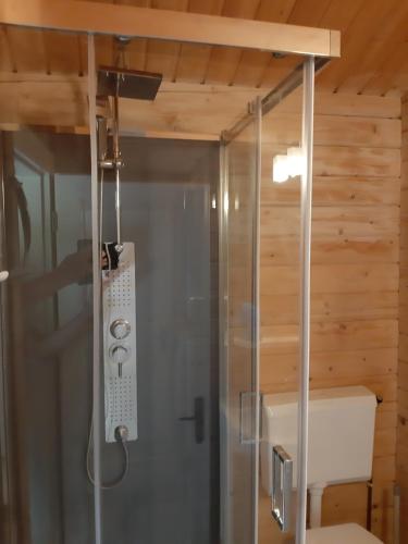 a shower in a room with a wooden ceiling at kemphaan in Appelscha