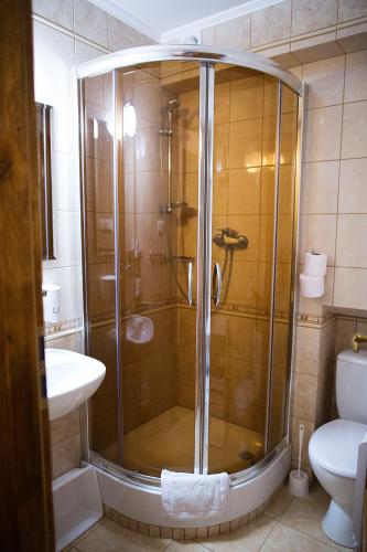 a bathroom with a shower with a sink and a toilet at DW Halicz in Solina
