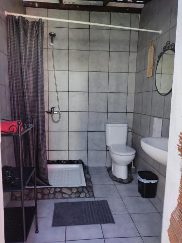 een badkamer met een toilet, een wastafel en een douche bij la casita de Máguez in Máguez