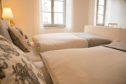 two beds in a room with two windows at Urlaubsfreude Biedermann Haus Blumenglück - Rose in Sebnitz