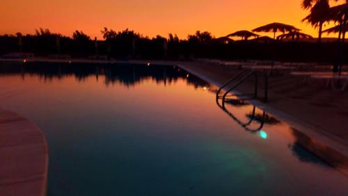 Gallery image of Sweet Kalimera Apartments in Kardamaina