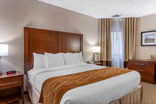 Ένα ή περισσότερα κρεβάτια σε δωμάτιο στο Comfort Inn Syosset-Long Island