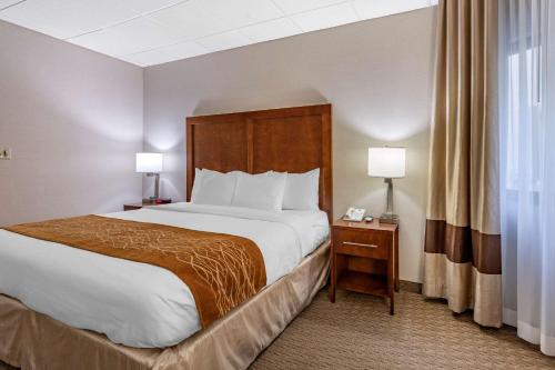 Ένα ή περισσότερα κρεβάτια σε δωμάτιο στο Comfort Inn Syosset-Long Island