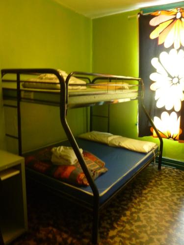 2 Etagenbetten in einem Zimmer mit grünen Wänden in der Unterkunft GLOBE-TROTTER & BACKPACKERS HOSTEL in Québec