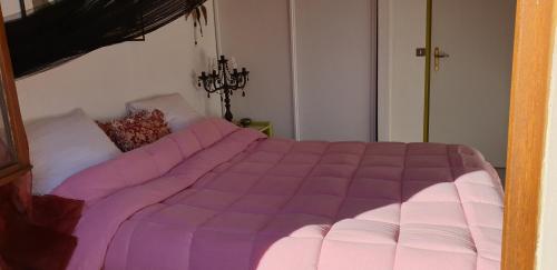 a bed with a purple comforter in a bedroom at Chambres Du Petit Bonheur in Biscarrosse